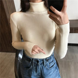Cute Sweater for Her
