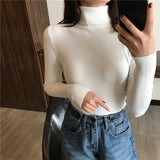 Cute Sweater for Her