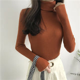 Cute Sweater for Her