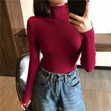 Cute Sweater for Her